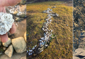 Klumpene er antatt å ikke være giftige, og det er harde klumper som ikke vil påvirke fjærdrakten til sjøfugl.