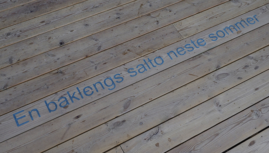 Bilde av skrift: En baklengs sommer