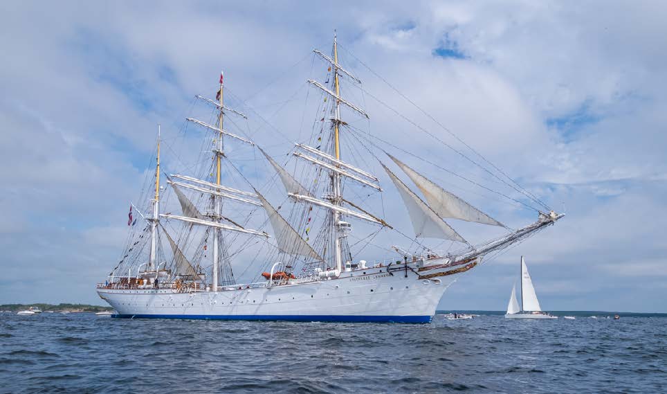 Skute på havet