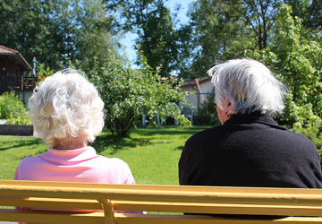 to eldre personer sittende på en benk sett bakfra