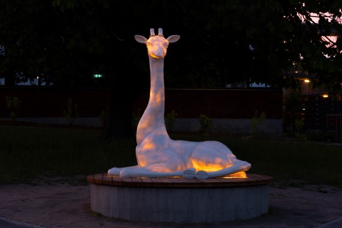Hvit Giraff med lys i mørket