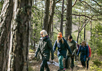 En gågruppe går tur skogen 