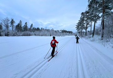 To barn står på ski i vinterlandskap 